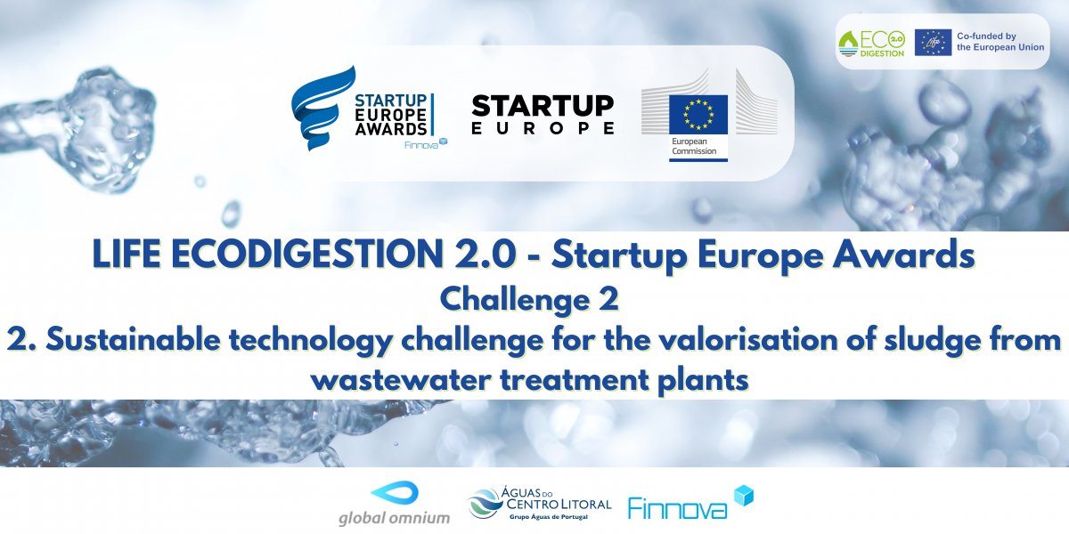 Sustainable technology challenge for the valorisation of sludge from wastewater treatment plants (WWTPs)